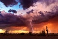 Dramatic sunset sky with storm clouds and lightning over the Arizona desert. Royalty Free Stock Photo