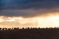 Dramatic Sunset and Stormy Overcast Sky over Rolling Hills Landscape in South of France Royalty Free Stock Photo