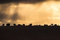 Dramatic Sunset and Stormy Overcast Sky over Rolling Hills Landscape in South of France Royalty Free Stock Photo