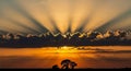 Dramatic sunset with sun rays bursting through dark clouds over silhouetted trees crepuscular rays Royalty Free Stock Photo
