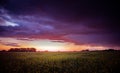 Dramatic sunset sunrise over field with flowers and clouds Royalty Free Stock Photo