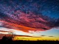 Dramatic sunset with tress and highway