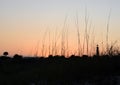 Southern Historical Lighthouse Coastal Architecture and Sunset/Sunrise at the Beach