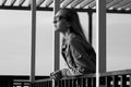 Dramatic thoughts concept. Profile portrait of young beautiful woman with long blond hair wearing stylish sunglasses, trendy jeans