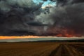 Dramatic thundercloud over a wheat field