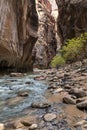 dramatic and tranquil landscape image taken in the Narrows on Zion national park. Its the Virgin River r in the park. Royalty Free Stock Photo