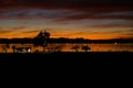 Dramatic vibrant sunset scenery in Lake Havasu State Park, Arizona Royalty Free Stock Photo