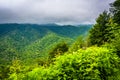Dramatic view of the Appalachian Mountains from Newfound Gap Road, at Great Smoky Mountains National Park, Tennessee. Royalty Free Stock Photo