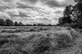 Dramatic view of harvested crops seen under a menacing, summer sky before a storm. Royalty Free Stock Photo