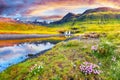 Dramatic view on Kirkjufellsfoss waterfall  near Kirkjufell mountain at sunset Royalty Free Stock Photo