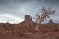 Dramatic View of Monument Valley