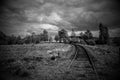 Dramatic view of overgrown rails Royalty Free Stock Photo