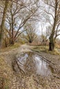 Dramatic view of a puddle after the autumn rain