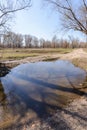 Dramatic view of a puddle after the spring rain