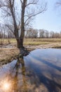 Dramatic view of a puddle after the spring rain