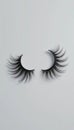 Dramatic & Voluminous False Eyelashes for Stunning Look Royalty Free Stock Photo