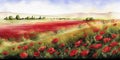 Dramatic Watercolor Painting of a Field of Poppies in Full Bloom. Perfect for Invitations and Posters.