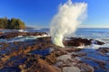 Botanical Beach, Juan de Fuca Provincial Park with Crashing Wave at Sandstone Shelf, Vancouver Island, British Columbia, Canada Royalty Free Stock Photo