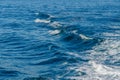 Dramatic waves on the water surface