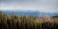 Dramatic Weather in the Boreal Forest of BC