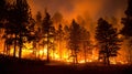 Dramatic wildfire consuming forest with intense flames, towering trees silhouetted against fiery orange and red hues Royalty Free Stock Photo