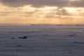 Dramatic winter sunset on frozen ice covered shore with golden sunbeams in stormy sky and dark blue ice, empty minimalistic north.