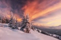 Dramatic wintry scene with snowy trees.