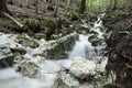 Dramaticlly flowing creek in forest making a little waterfall