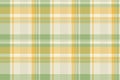 Drapery fabric check tartan, vertical background vector texture. Front plaid textile pattern seamless in green and light colors Royalty Free Stock Photo