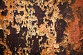 Drastically peeling paint and rusted metal Royalty Free Stock Photo