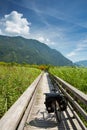 Drau river and drau cycle route