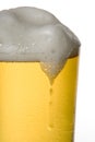 Draught beer Royalty Free Stock Photo