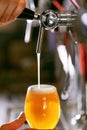 Draught Beer. Closeup Pouring Fresh Beer In Glass Royalty Free Stock Photo