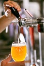 Draught Beer. Closeup Pouring Fresh Beer In Glass Royalty Free Stock Photo