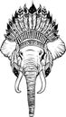 draw in black and white of Elephant head with american indian chief headdress. Royalty Free Stock Photo