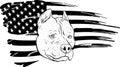 draw in black and white of Head pitbull with american flag vector illustration