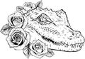 draw in black and white of Vector illustration of crocodile head with roses Royalty Free Stock Photo