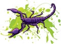 draw colored animal scorpion vector illustration design