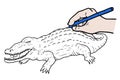 Draw crocodile