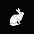 Draw Sketch Illustration Rabbit Vector Design Royalty Free Stock Photo