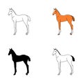 vector illustration character collection foals