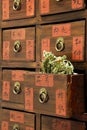 Drawers of Chinese medicine shop Royalty Free Stock Photo