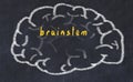 Drawind of human brain on chalkboard with inscription brainstem