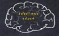 Drawind of human brain on chalkboard with inscription default-mode network