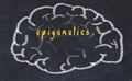 Drawind of human brain on chalkboard with inscription epigenetics