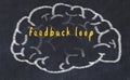 Drawind of human brain on chalkboard with inscription feedback loop