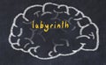 Drawind of human brain on chalkboard with inscription labyrinth Royalty Free Stock Photo