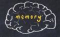 Drawind of human brain on chalkboard with inscription memory