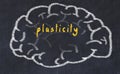 Drawind of human brain on chalkboard with inscription plasticity Royalty Free Stock Photo