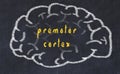 Drawind of human brain on chalkboard with inscription premotor cortex Royalty Free Stock Photo